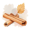 Dalchini (Cinnamon)