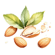 Badam (5%)