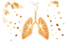 Supports Healthy Breathing